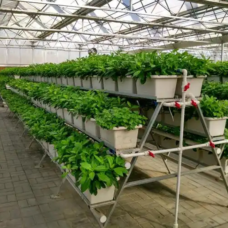 潮州市植物工厂水培蔬菜 - 方案