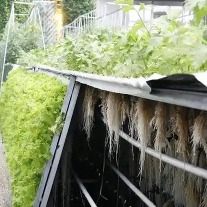 潮州市气雾培植物工厂 - 厂家